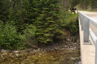 Elk Summit Road Bridge Access