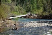 Log hazards downstream of abandoned vehciles - left channel