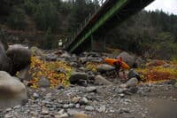 Rock Crest Bridge
