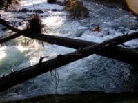 Logs Across the Ledge Drop