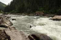Taka on Snoden Creek
