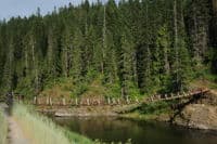 Bridge Near Turner Flat Campground