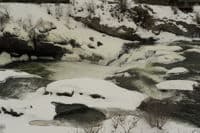 Coyote Falls