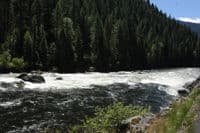 Old Man Rapid