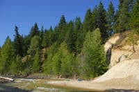 Swimming at the Put-in in Summer