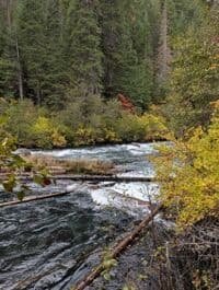 first logjam in lower stretch (mandatory portage)