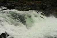 Deadline Falls Salmon Leap