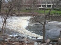 Red Cedar at 1020 CFS