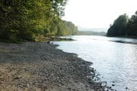 Looking Downstream from Highway 530 Bridge Access
