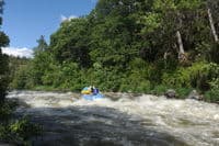 Rapid on the Upper Klamath