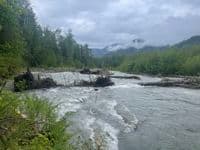 Looking downstream at the multi-tiered jam
