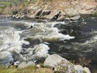 Middle Holiday Rapid