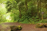 Access Point at Susan Creek