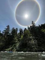 Sun Dog on the Rogue River