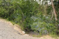 Roadside River Access