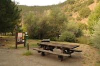 Day Use Area at Tree of Heaven