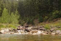 Twenty Five Mile Creek Confluence