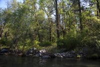 Claiborne Creek Campsite