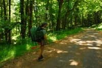 Hiking in to the Elwha