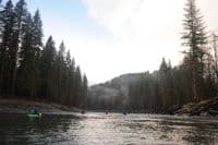 Engineered Log Structures at Gold Basin