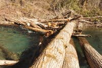 Log Portage