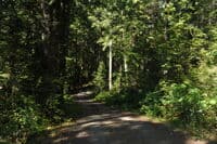 Forest Road 2401-012