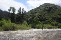 360 Rapid