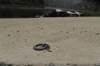 Corn Creek Ramp Tie Off Point