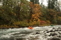 Armstrong Rapid