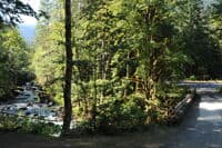 Forest Road 2480 Bridge Access