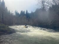 Typical Rapid