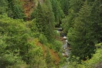 View Downstream from Toketee Falls