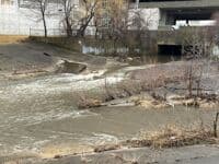 Confluence with Wilson Creek