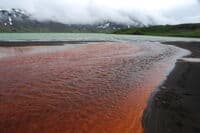 Mineral-Laden Creek Flowing Into Surprise Lake