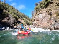 Running Eel Trap