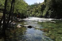 Butte Creek Put-in at the Drag
