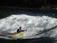 Surfing Skook