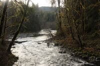 North Fork Confluence