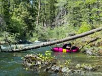Wood hazard