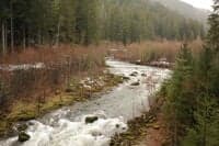 View Upstream at Former Hemlock Dam Site