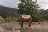 Tree of Heaven Access Sign