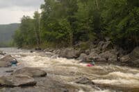 Lily on Zoar Gap