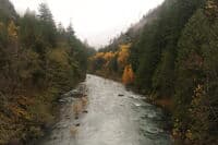 Downstream of the Bridge