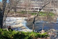 Red Cedar at 1230 CFS