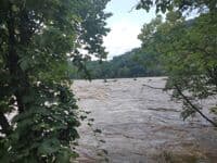 Potomac Needles - White Horse Rapid 12.32
