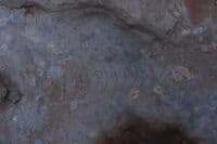 Nautiloid Fossil