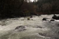 Wiley Creek Rapid - Bill