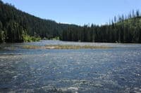 Three Rivers
