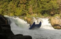 Shredder at Husum