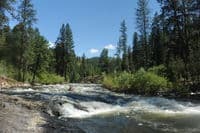 Rapids on the Little Salmon